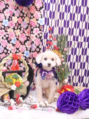 20250123れおんくん